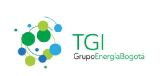 TRANSPORTADORA DE GAS INTERNACIONAL – TGI
